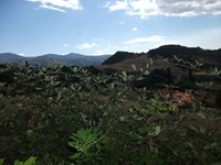 gale-20120725 114